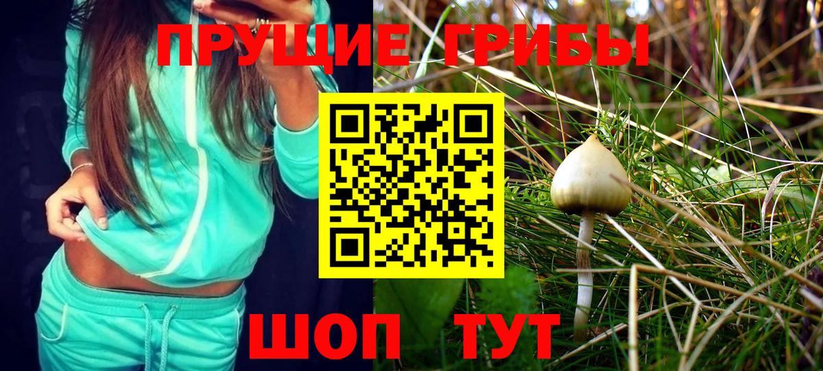 Майкоп  Галлюциногенные грибы Psilocybe  Вход с VPN 