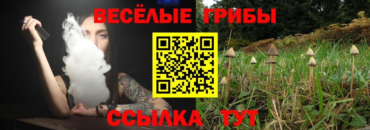 Галлюциногенные грибы прущие грибы Майкоп