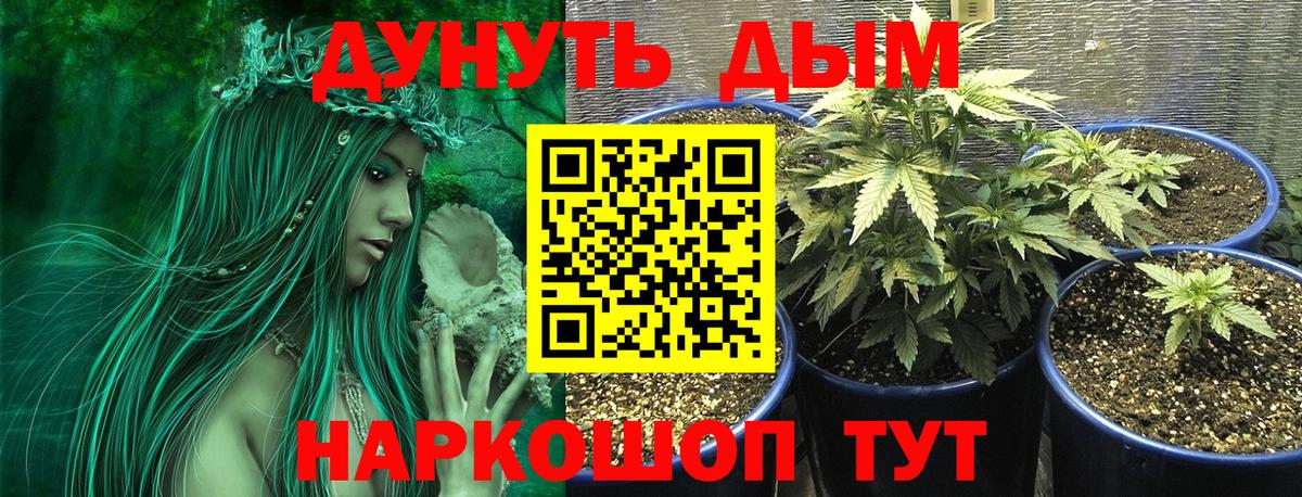 Бошки Шишки ГИДРОПОН  Вход с VPN  Майкоп  Бошки Шишки Amnesia 