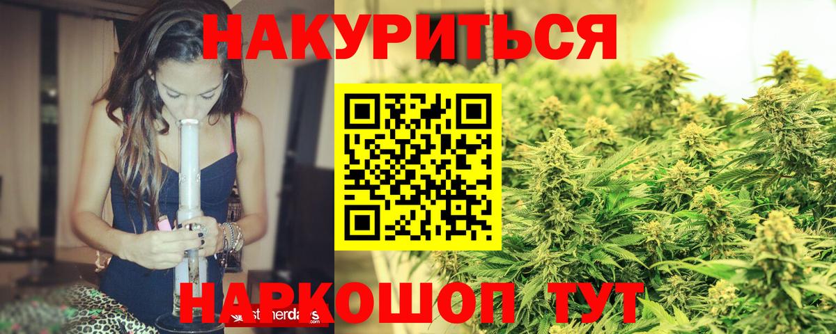 Галлюциногенные грибы Майкоп